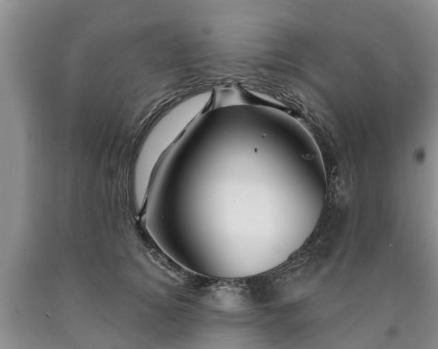 X0000090610756200707241106