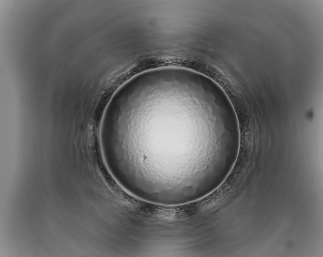 X0000090610757200707241106