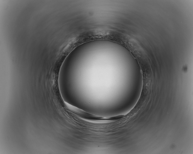 X0000090610758200707241106