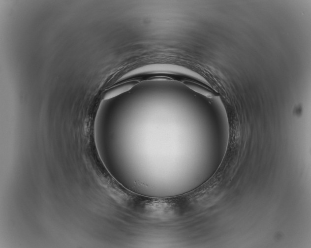 X0000090610759200707241106