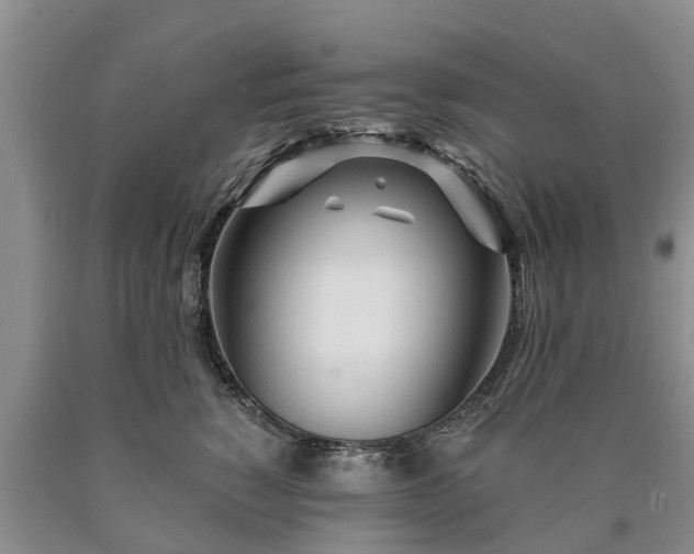 X0000090610760200707241106