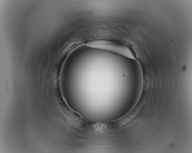 X0000090610762200707241106