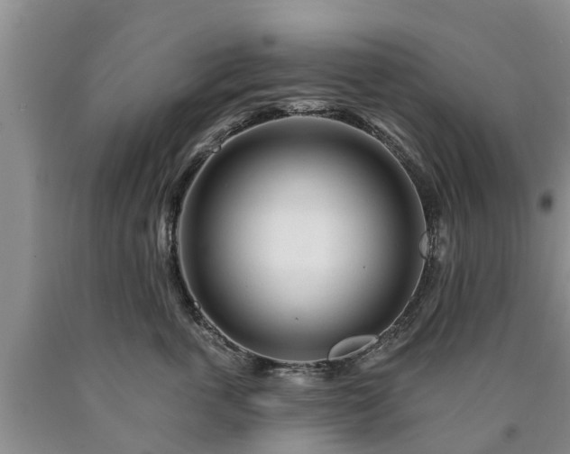 X0000090610763200707241106