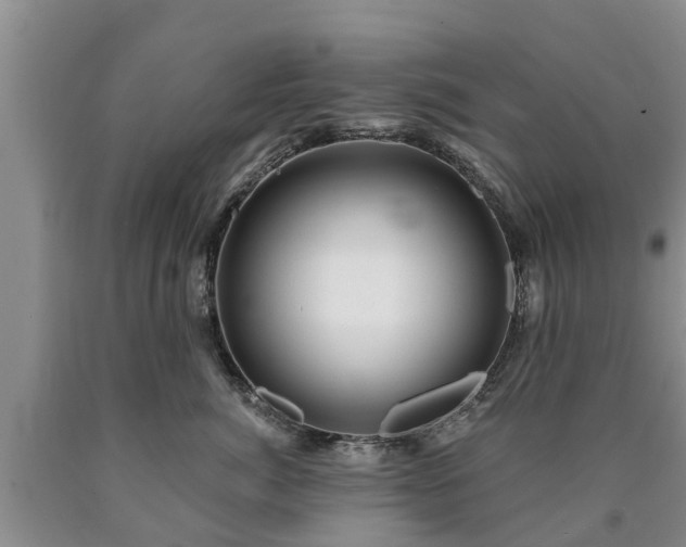 X0000090610764200707241106