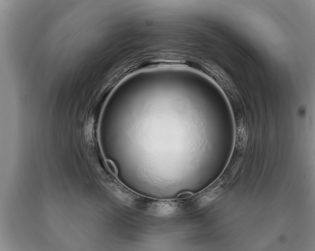 X0000090610765200707241106