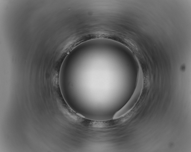 X0000090610766200707241106