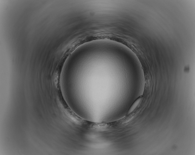 X0000090610767200707241106