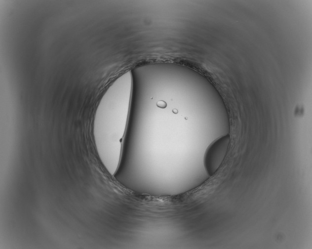 X0000090610768200707241106