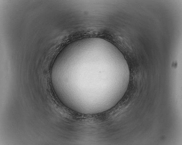 X0000090610769200707241106