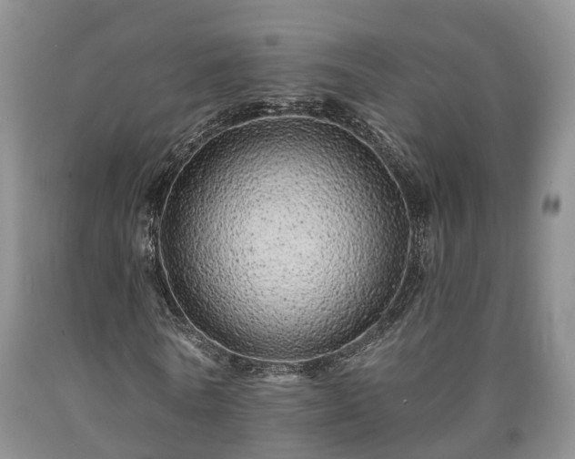 X0000090610770200707241106