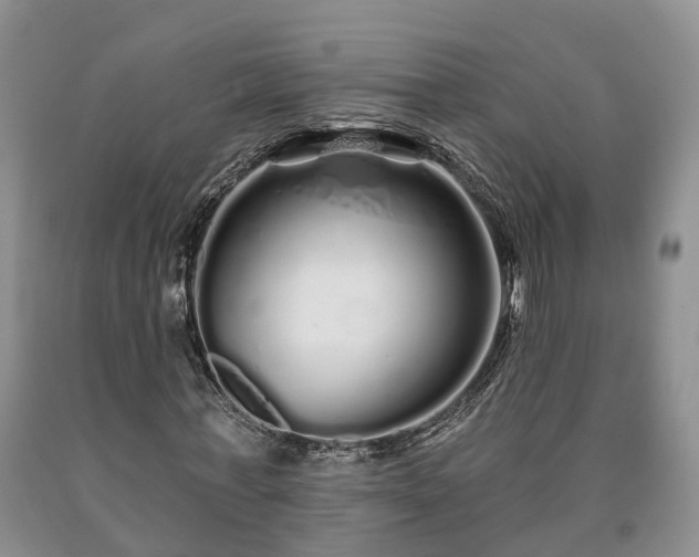 X0000090610771200707241106