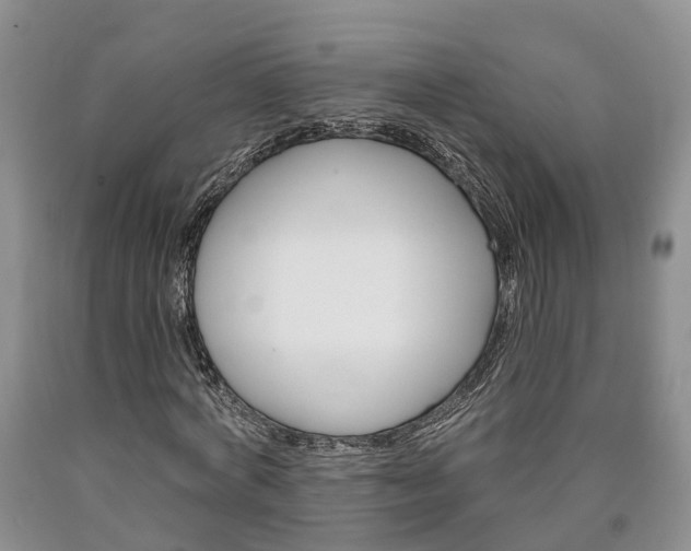 X0000090610772200707241106