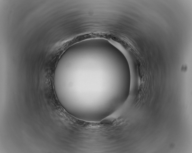 X0000090610773200707241106