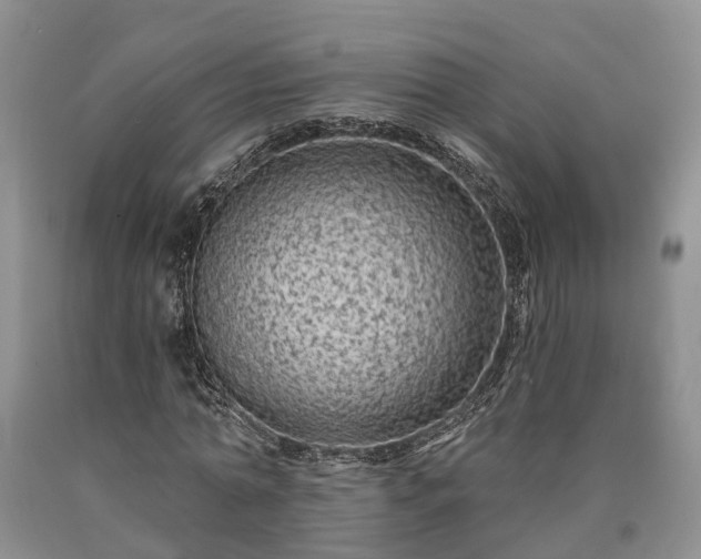 X0000090610774200707241106