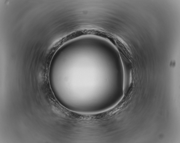 X0000090610775200707241106