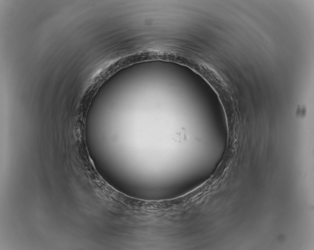 X0000090610776200707241106