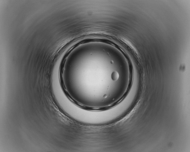 X0000090610777200707241106