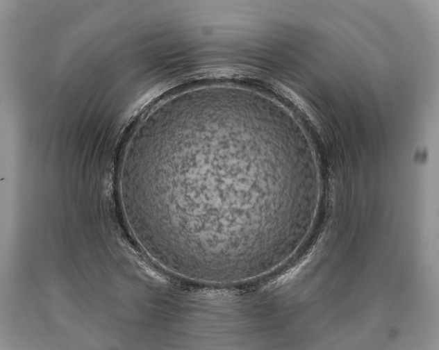 X0000090610778200707241106