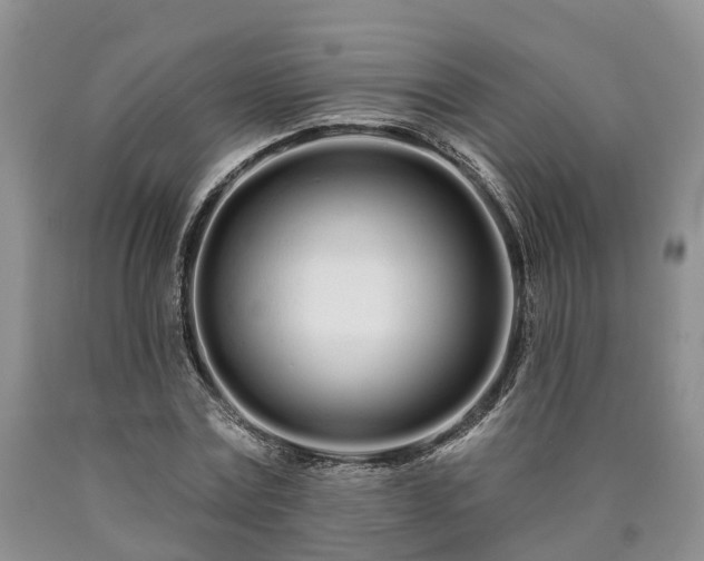 X0000090610779200707241106