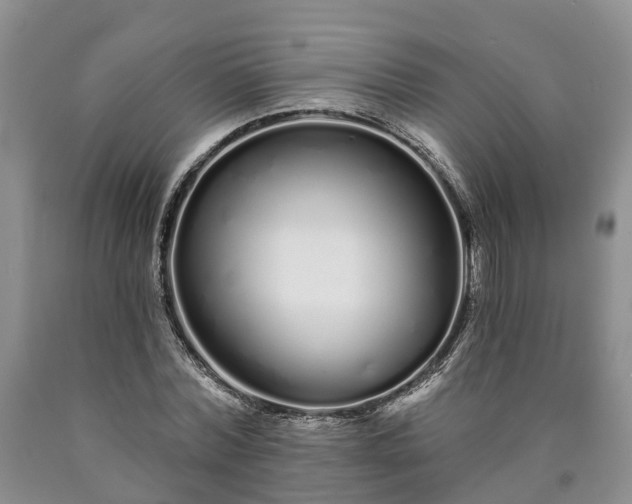 X0000090610780200707241106