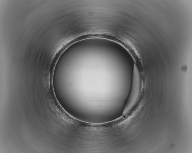 X0000090610781200707241106