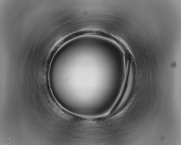 X0000090610783200707241106