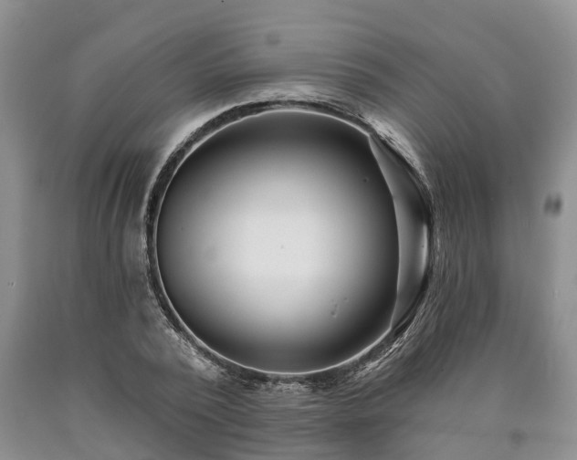 X0000090610784200707241105