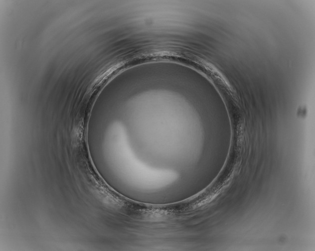 X0000090610785200707241105