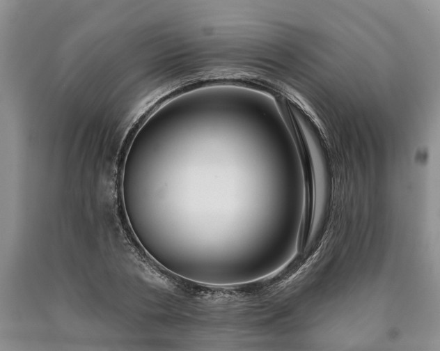 X0000090610786200707241105