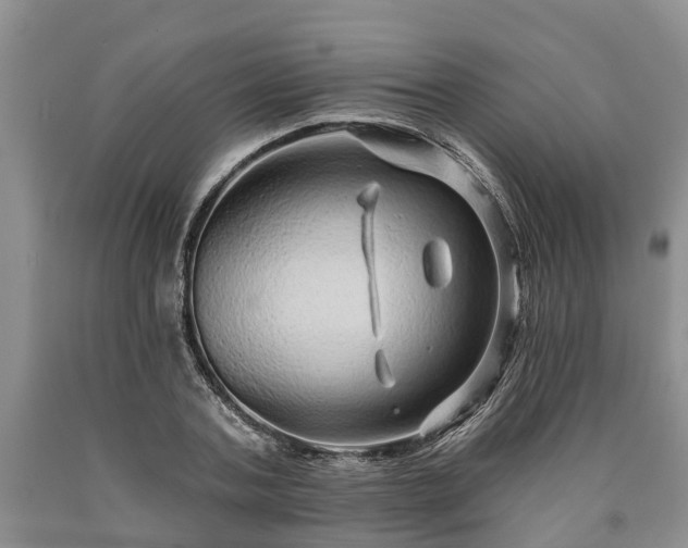 X0000090610787200707241105