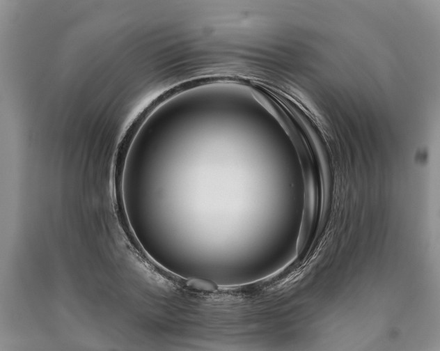 X0000090610788200707241105