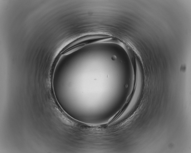 X0000090610789200707241105