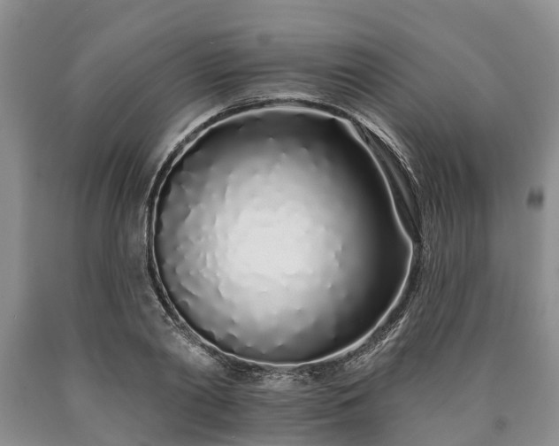 X0000090610790200707241105