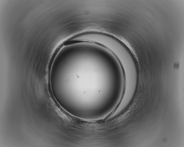 X0000090610791200707241105