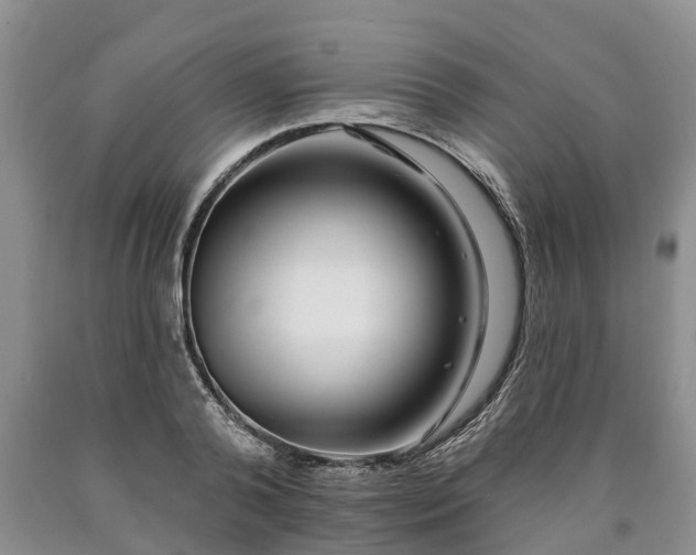 X0000090610792200707241105