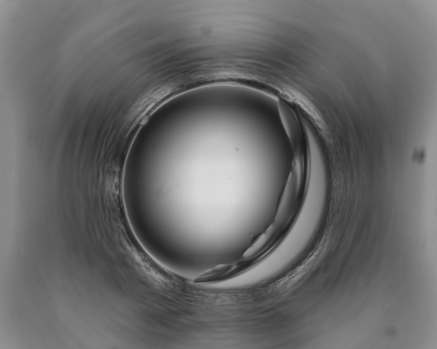 X0000090610793200707241105