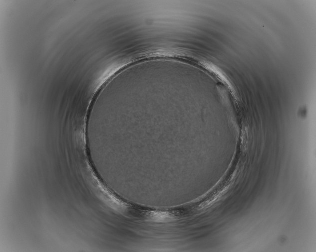 X0000090610794200707241105