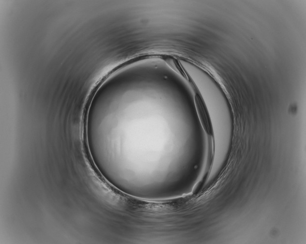 X0000090610795200707241105