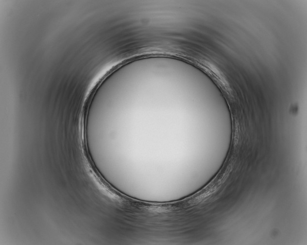 X0000090610796200707241105