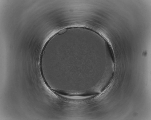 X0000090610797200707241105