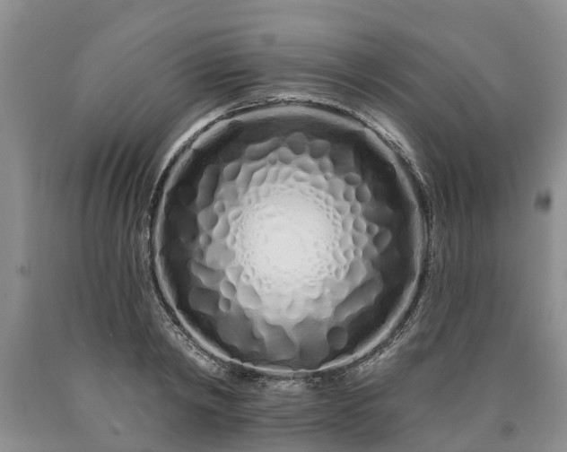 X0000090610798200707241105