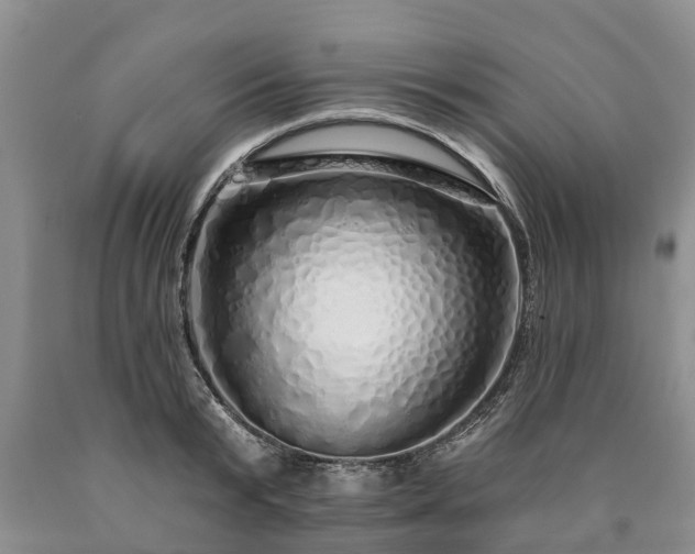 X0000090610799200707241105