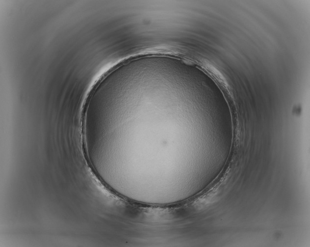 X0000090610800200707241105