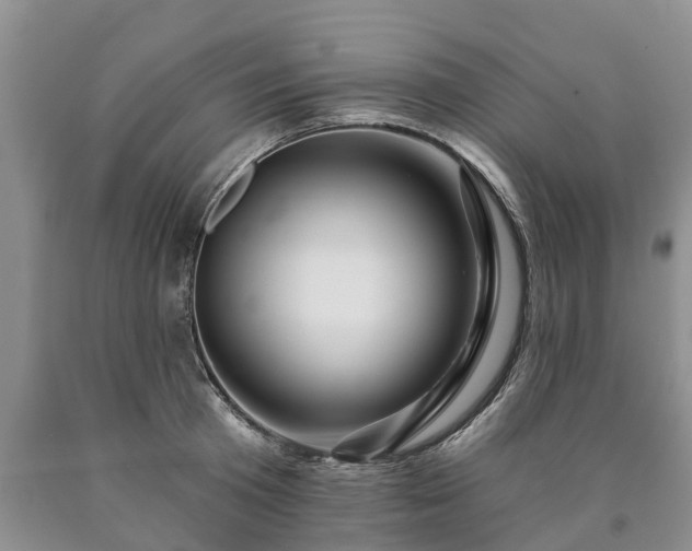 X0000090610801200707241105