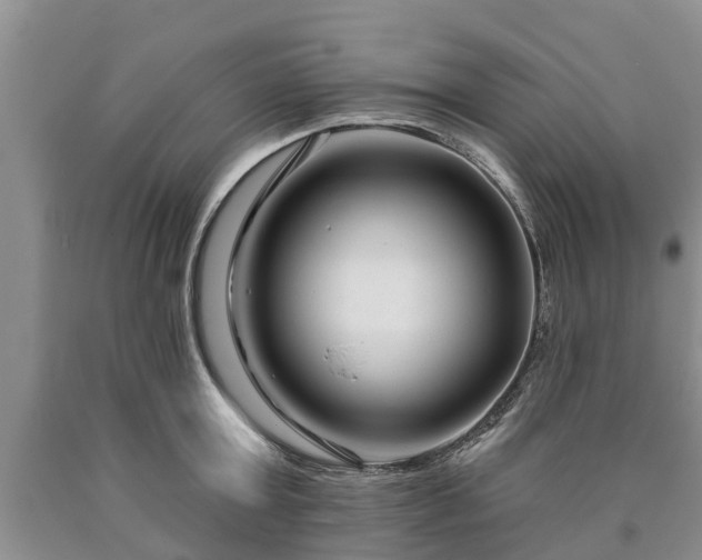 X0000090610803200707241105