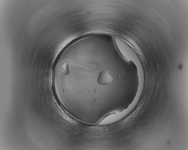 X0000090610804200707241105