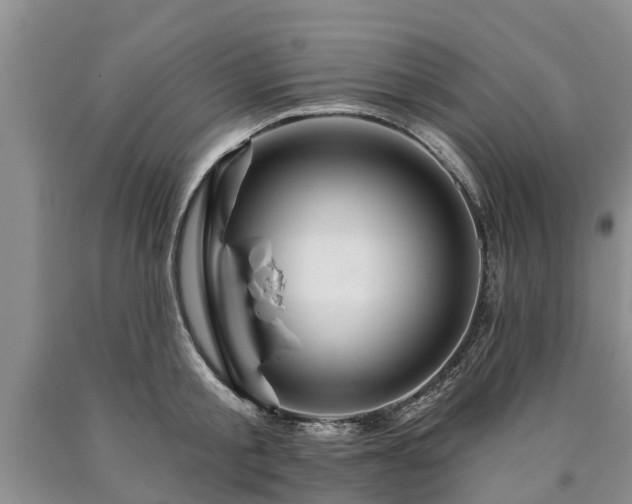 X0000090610805200707241105