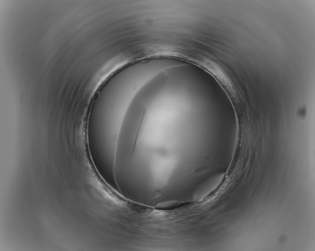 X0000090610806200707241105