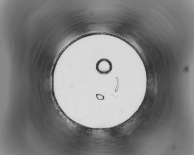 X0000090610807200707241105