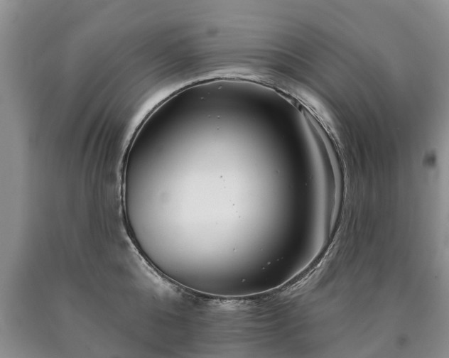 X0000090610808200707241105